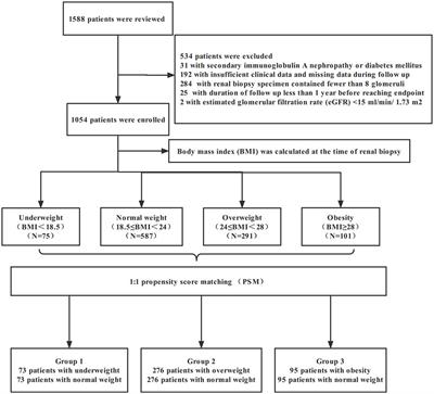 Association of obesity with the development of end stage renal disease in IgA nephropathy patients